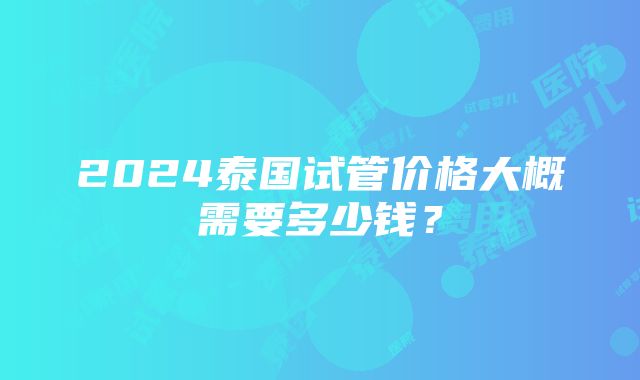 2024泰国试管价格大概需要多少钱？