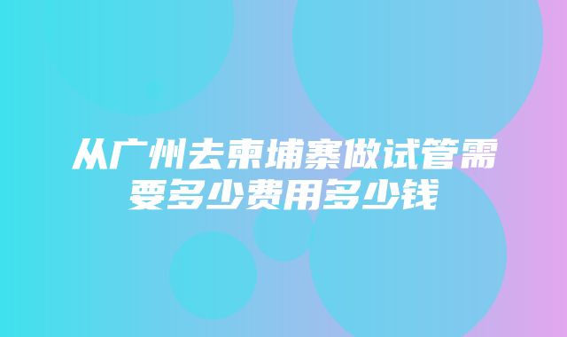 从广州去柬埔寨做试管需要多少费用多少钱