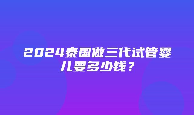 2024泰国做三代试管婴儿要多少钱？