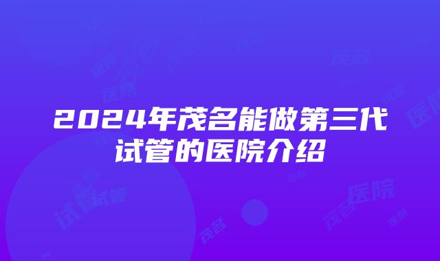 2024年茂名能做第三代试管的医院介绍