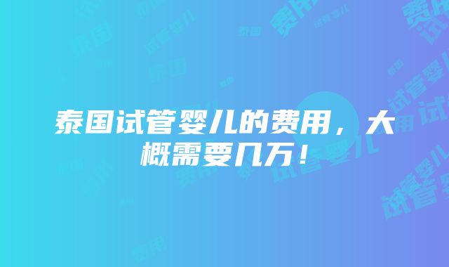 泰国试管婴儿的费用，大概需要几万！