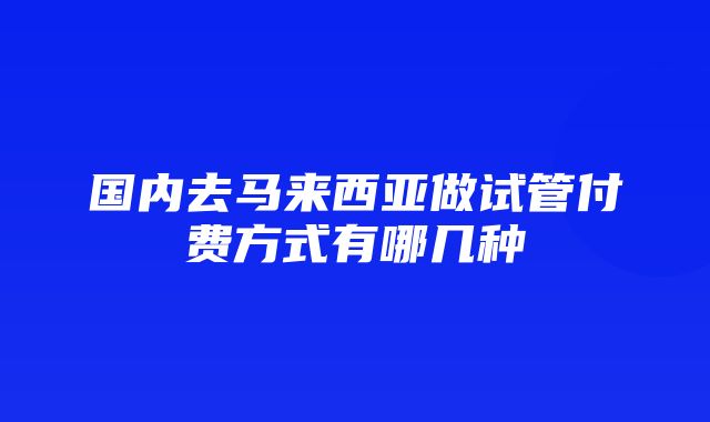 国内去马来西亚做试管付费方式有哪几种