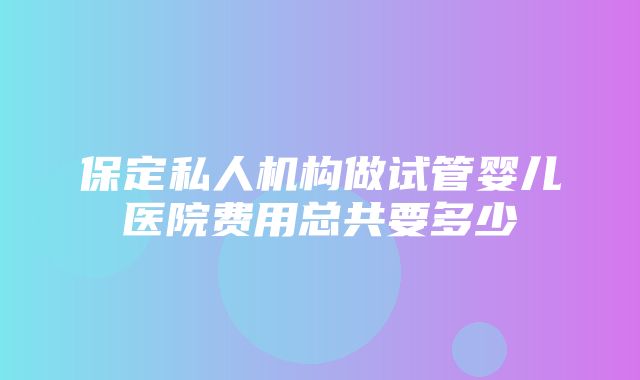 保定私人机构做试管婴儿医院费用总共要多少