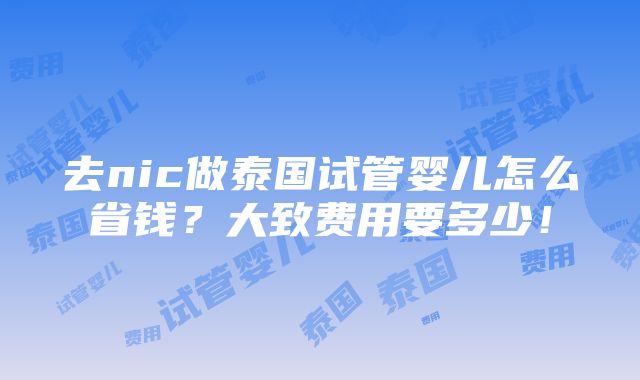 去nic做泰国试管婴儿怎么省钱？大致费用要多少！