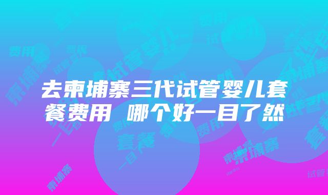 去柬埔寨三代试管婴儿套餐费用 哪个好一目了然