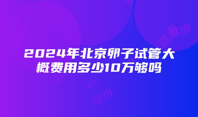 2024年北京卵子试管大概费用多少10万够吗