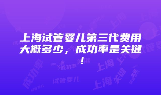 上海试管婴儿第三代费用大概多少，成功率是关键！