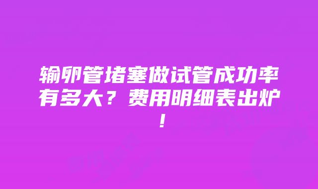 输卵管堵塞做试管成功率有多大？费用明细表出炉！