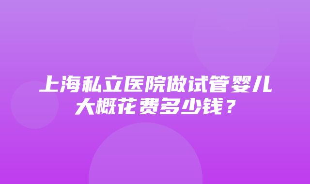 上海私立医院做试管婴儿大概花费多少钱？