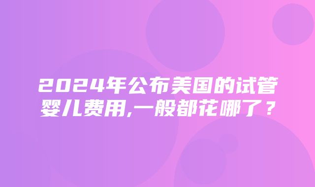 2024年公布美国的试管婴儿费用,一般都花哪了？