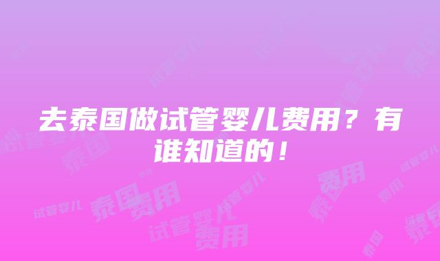 去泰国做试管婴儿费用？有谁知道的！