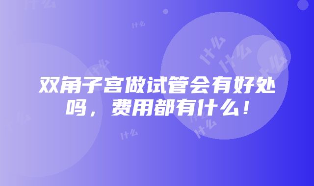 双角子宫做试管会有好处吗，费用都有什么！