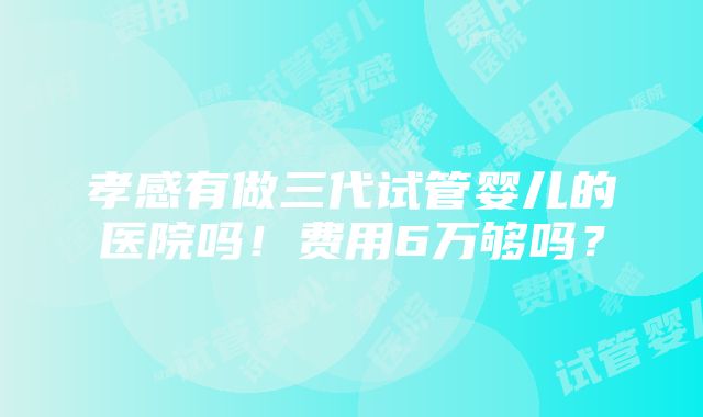 孝感有做三代试管婴儿的医院吗！费用6万够吗？