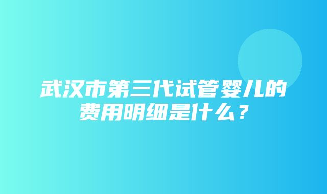 武汉市第三代试管婴儿的费用明细是什么？