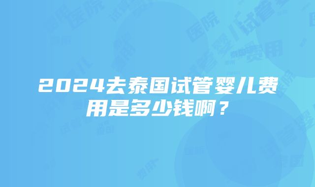 2024去泰国试管婴儿费用是多少钱啊？