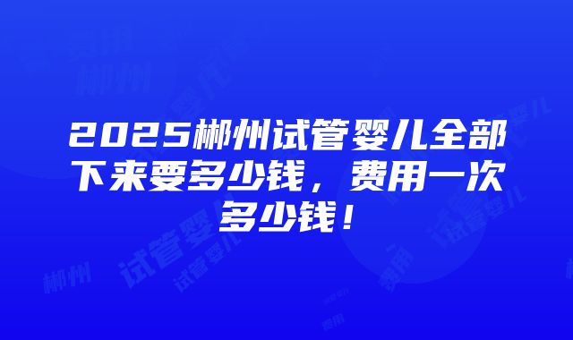 2025郴州试管婴儿全部下来要多少钱，费用一次多少钱！