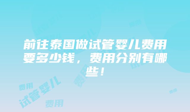 前往泰国做试管婴儿费用要多少钱，费用分别有哪些！