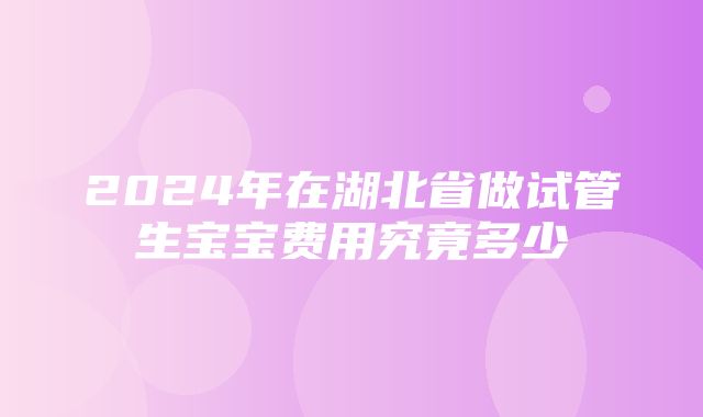 2024年在湖北省做试管生宝宝费用究竟多少