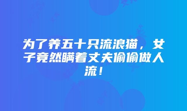 为了养五十只流浪猫，女子竟然瞒着丈夫偷偷做人流！