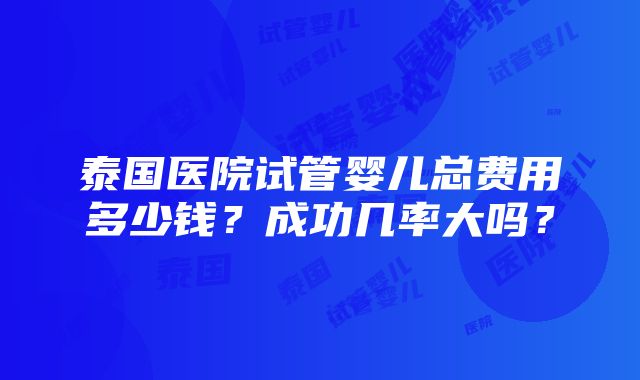 泰国医院试管婴儿总费用多少钱？成功几率大吗？