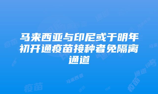 马来西亚与印尼或于明年初开通疫苗接种者免隔离通道