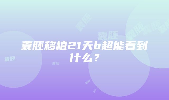 囊胚移植21天b超能看到什么？