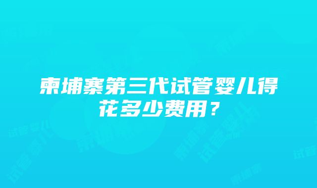 柬埔寨第三代试管婴儿得花多少费用？