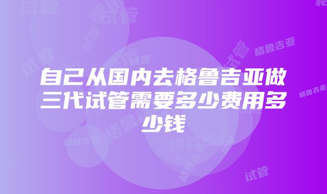 自己从国内去格鲁吉亚做三代试管需要多少费用多少钱