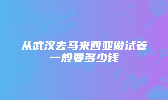 从武汉去马来西亚做试管一般要多少钱