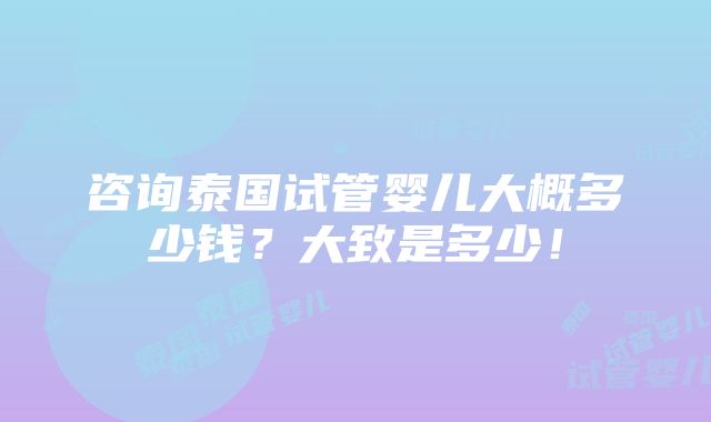 咨询泰国试管婴儿大概多少钱？大致是多少！