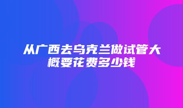 从广西去乌克兰做试管大概要花费多少钱