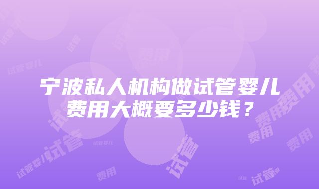 宁波私人机构做试管婴儿费用大概要多少钱？