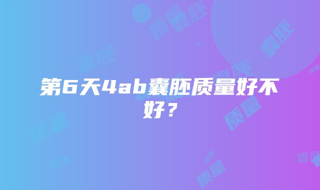 第6天4ab囊胚质量好不好？