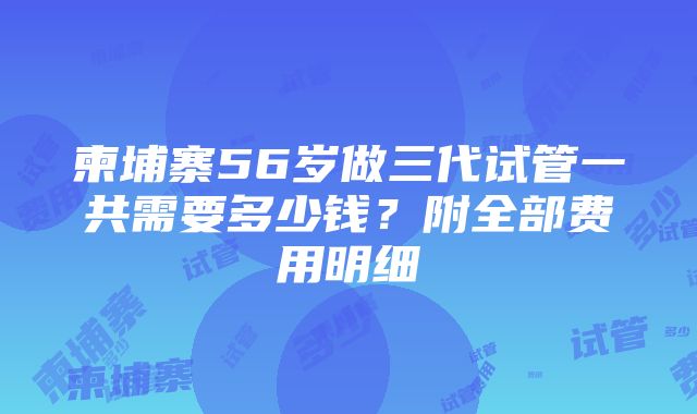 柬埔寨56岁做三代试管一共需要多少钱？附全部费用明细