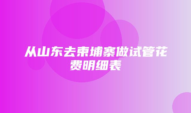 从山东去柬埔寨做试管花费明细表