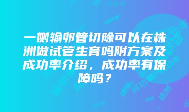 一侧输卵管切除可以在株洲做试管生育吗附方案及成功率介绍，成功率有保障吗？