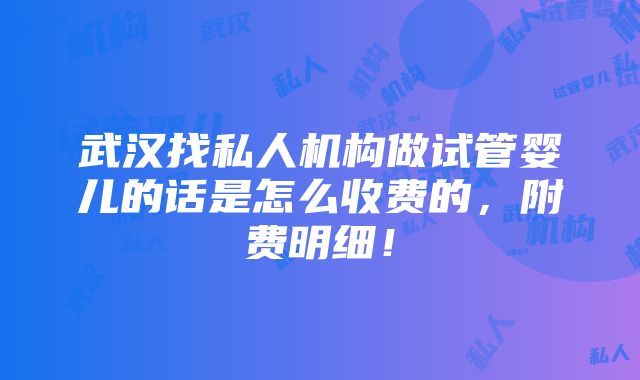 武汉找私人机构做试管婴儿的话是怎么收费的，附费明细！