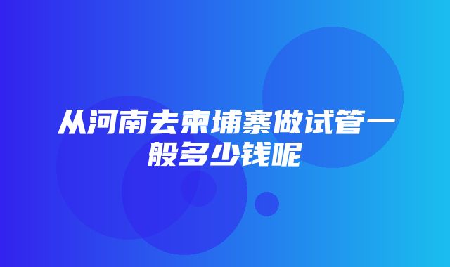 从河南去柬埔寨做试管一般多少钱呢