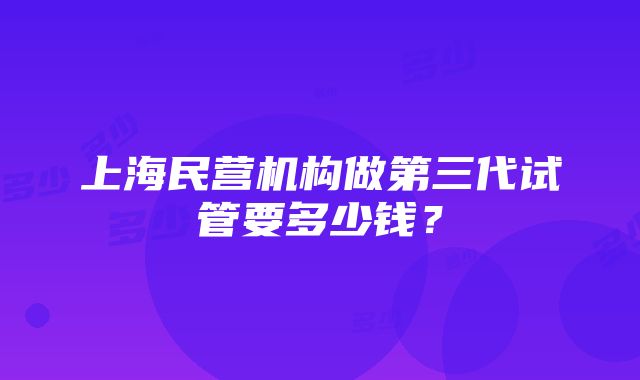 上海民营机构做第三代试管要多少钱？