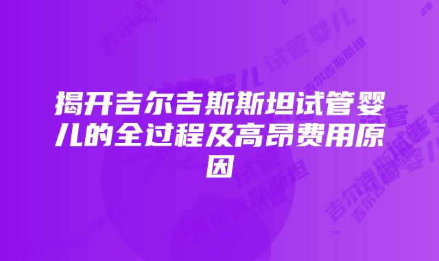 揭开吉尔吉斯斯坦试管婴儿的全过程及高昂费用原因