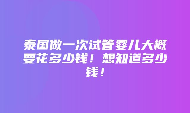 泰国做一次试管婴儿大概要花多少钱！想知道多少钱！