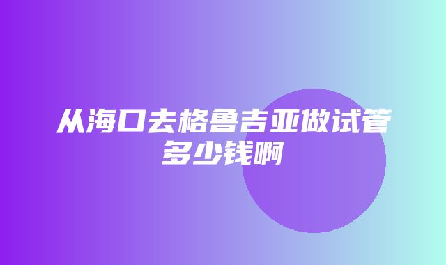 从海口去格鲁吉亚做试管多少钱啊