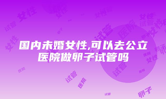 国内未婚女性,可以去公立医院做卵子试管吗