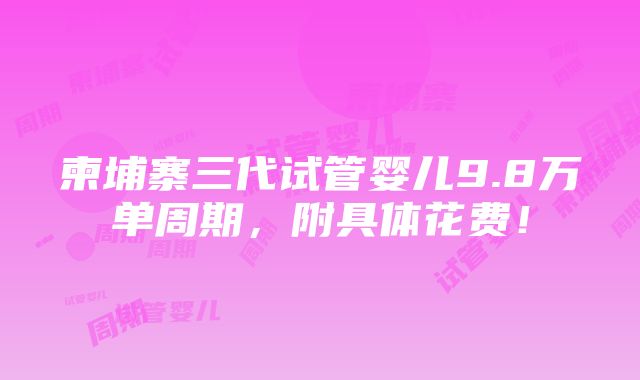 柬埔寨三代试管婴儿9.8万单周期，附具体花费！