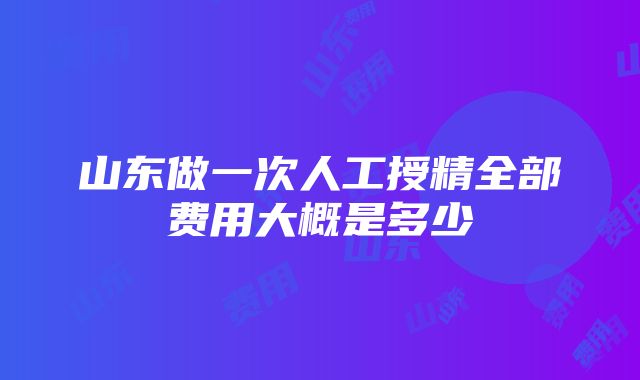 山东做一次人工授精全部费用大概是多少