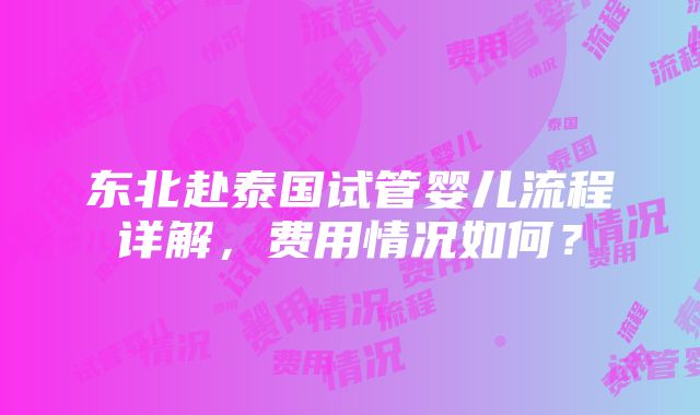 东北赴泰国试管婴儿流程详解，费用情况如何？