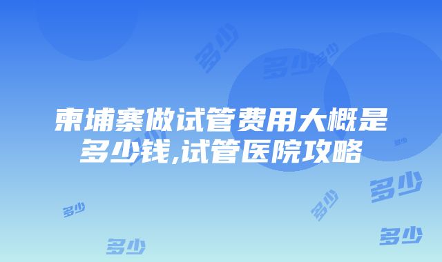 柬埔寨做试管费用大概是多少钱,试管医院攻略