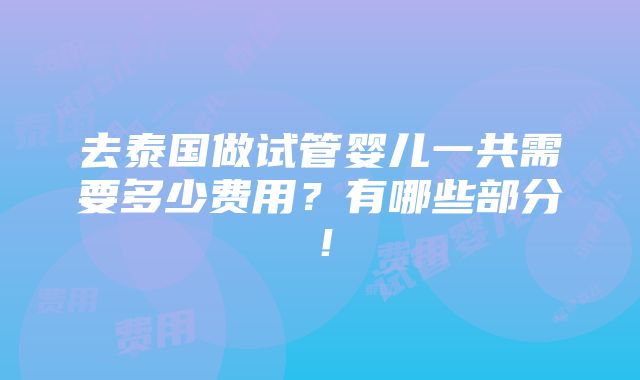 去泰国做试管婴儿一共需要多少费用？有哪些部分！