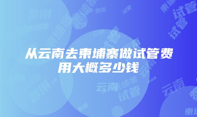 从云南去柬埔寨做试管费用大概多少钱