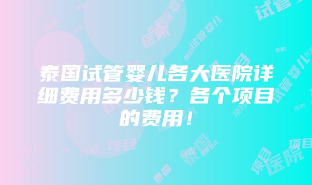 泰国试管婴儿各大医院详细费用多少钱？各个项目的费用！